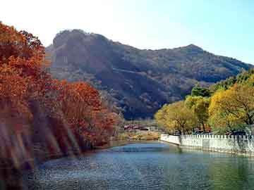 管家婆黑白马报图库，功夫高手在都市